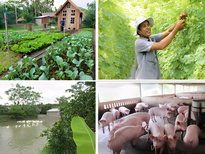 Các mô hình canh tác nông nghiệp hữu cơ tuần hoàn tiết kiệm chi phí