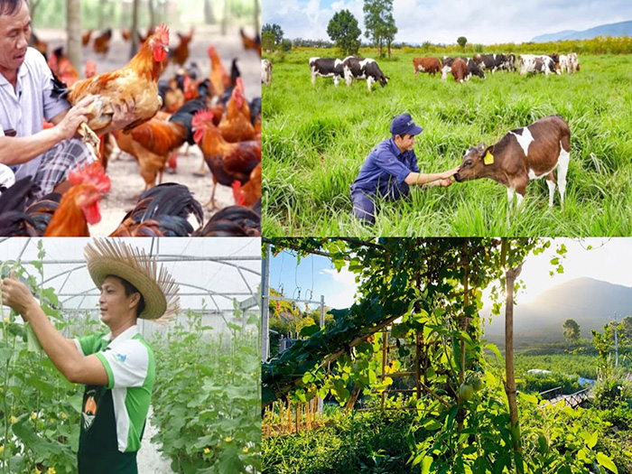Các mô hình canh tác nông nghiệp hữu cơ tuần hoàn tiết kiệm chi phí