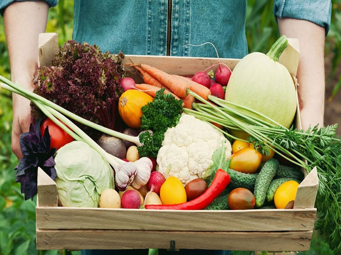 Nông nghiệp sạch và nông nghiệp hữu cơ khác nhau thế nào?