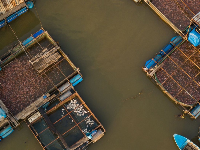 Một số sản phẩm nông nghiệp hữu cơ cụ thể theo nhóm ngành