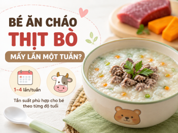 Tác giả Phan Lê Khả Hân