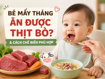 Tác giả Phan Lê Khả Hân