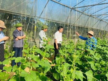 Các mô hình canh tác nông nghiệp hữu cơ tuần hoàn tiết kiệm chi phí