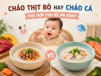 Tác giả Ngô Văn Hải Vũ