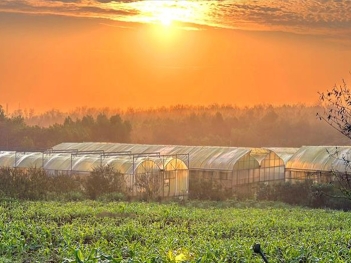 Quan niệm về mô hình nông nghiệp hữu cơ ở Việt Nam hiện nay