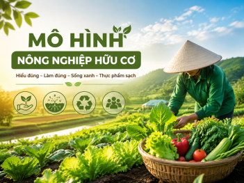 Tác giả Lý Thiên Mộc Thảo