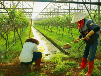 Tiêu chuẩn và điều kiện để phát triển nông nghiệp hữu cơ bền vững