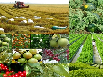 Một số sản phẩm nông nghiệp hữu cơ cụ thể theo nhóm ngành