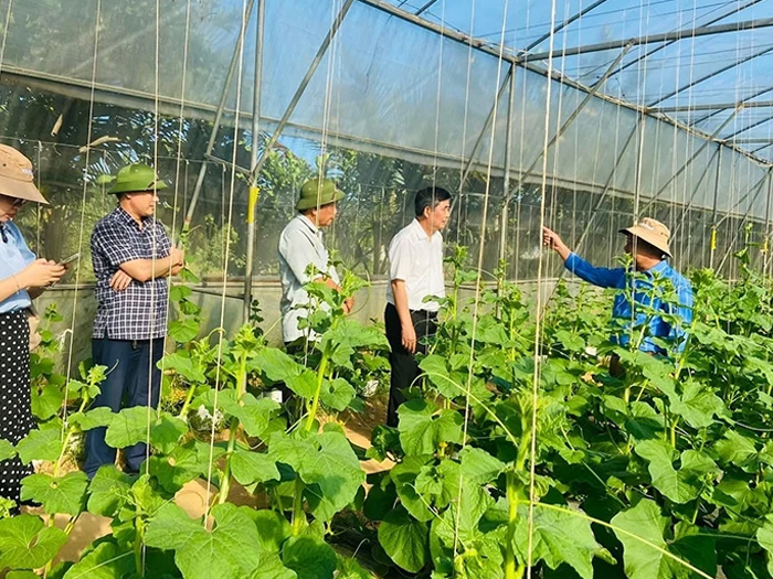 canh tác nông nghiệp hữu cơ