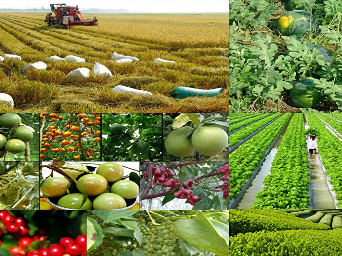 sản phẩm nông nghiệp hữu cơ